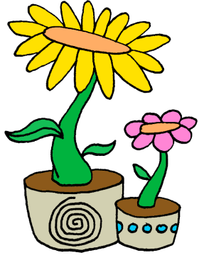 Flower Pot Plants