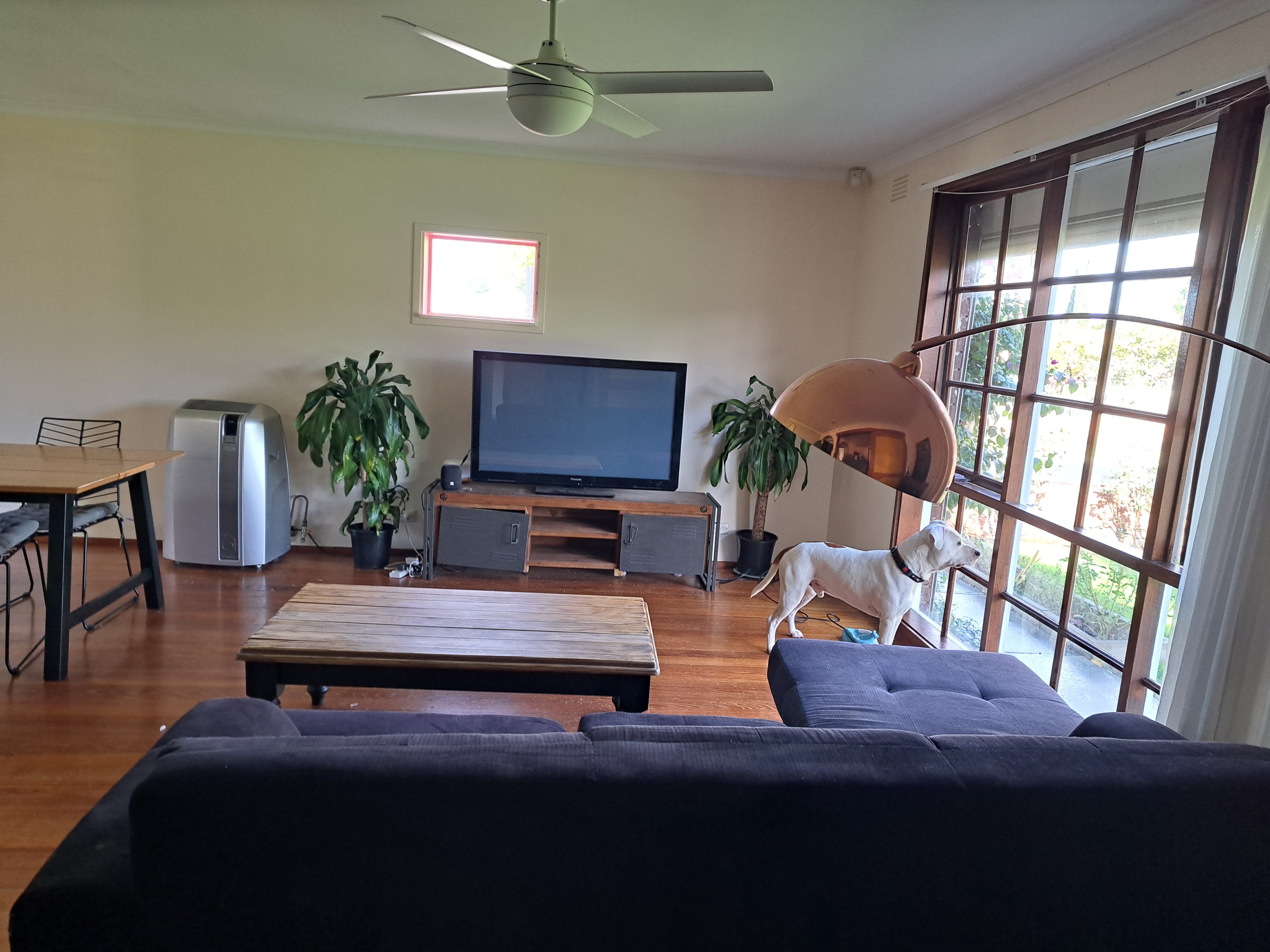 Photo of room in 3021 2