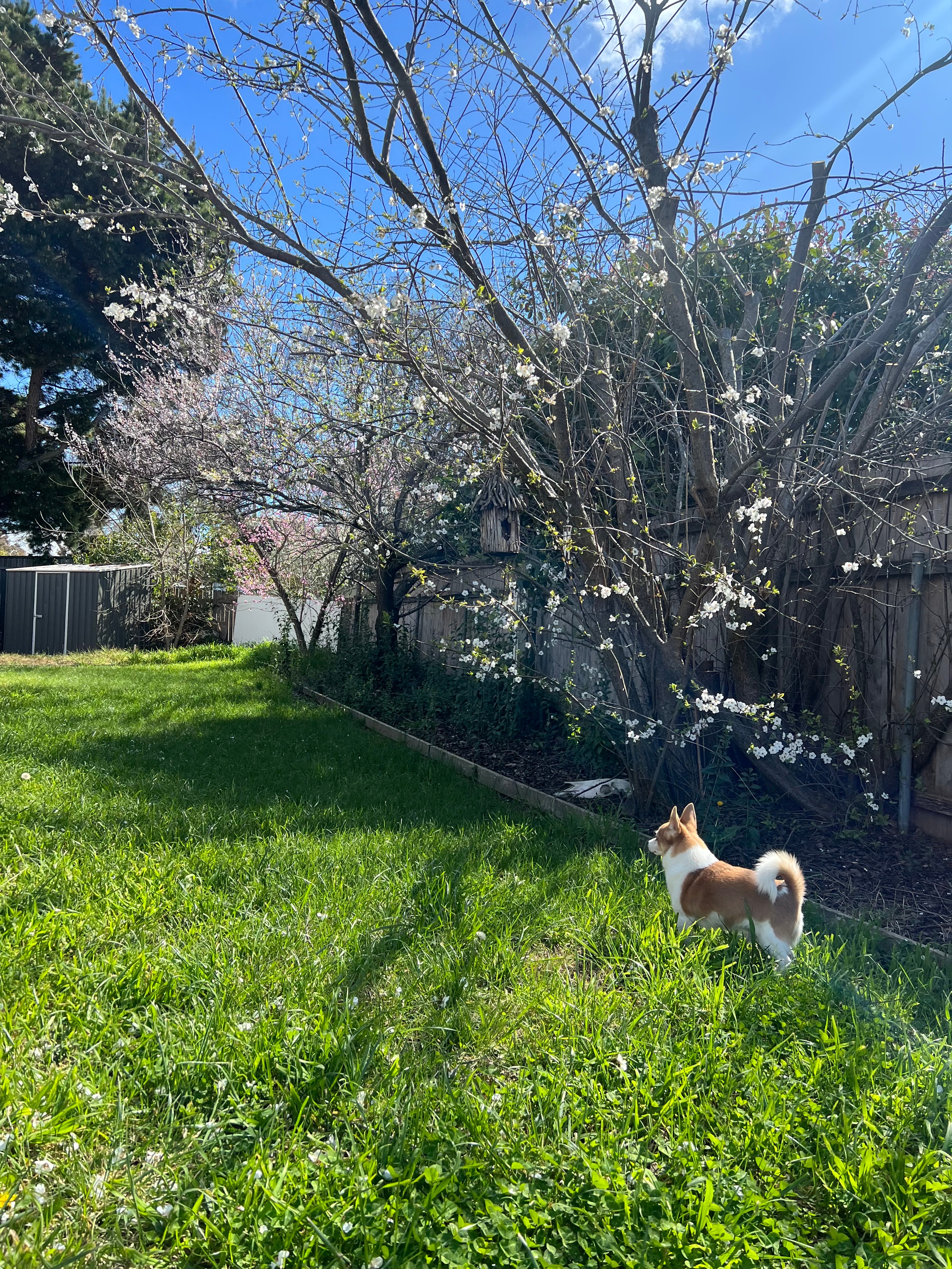 Photo of room in 2900 8