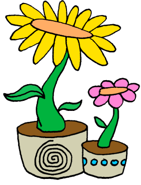 Flower Pot Plants