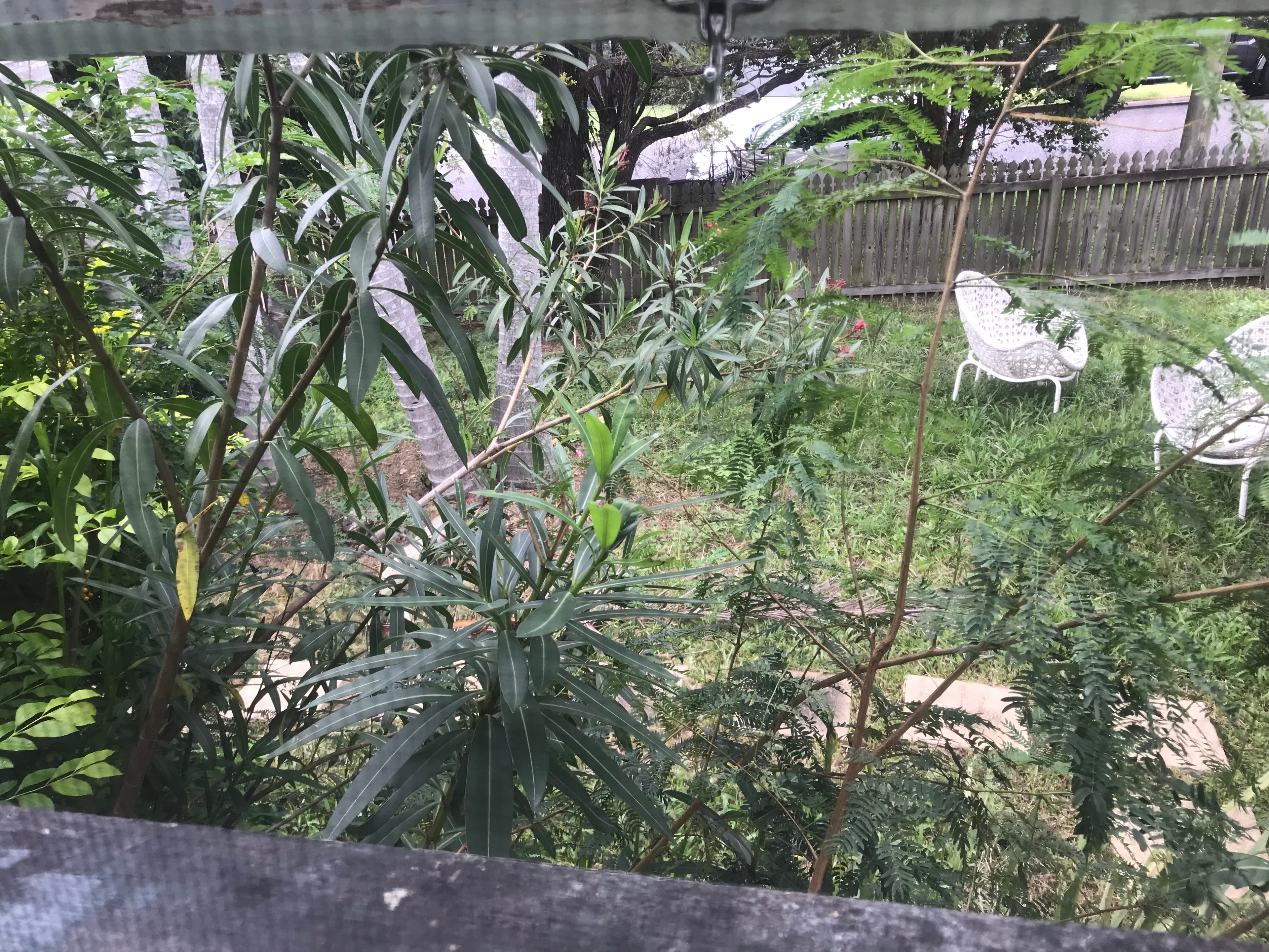 Photo of room in 4152 8