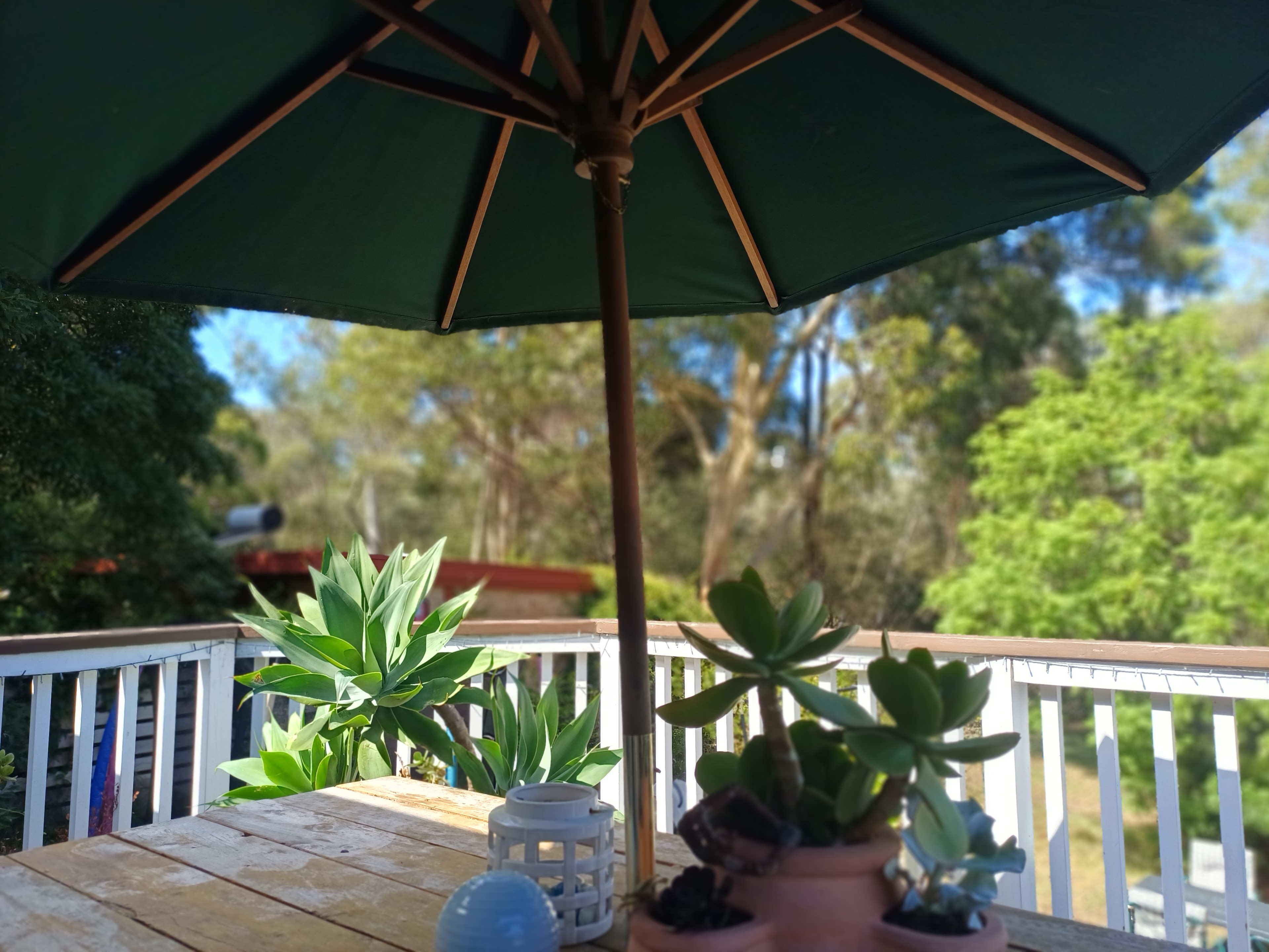 Photo of room in 3149 13