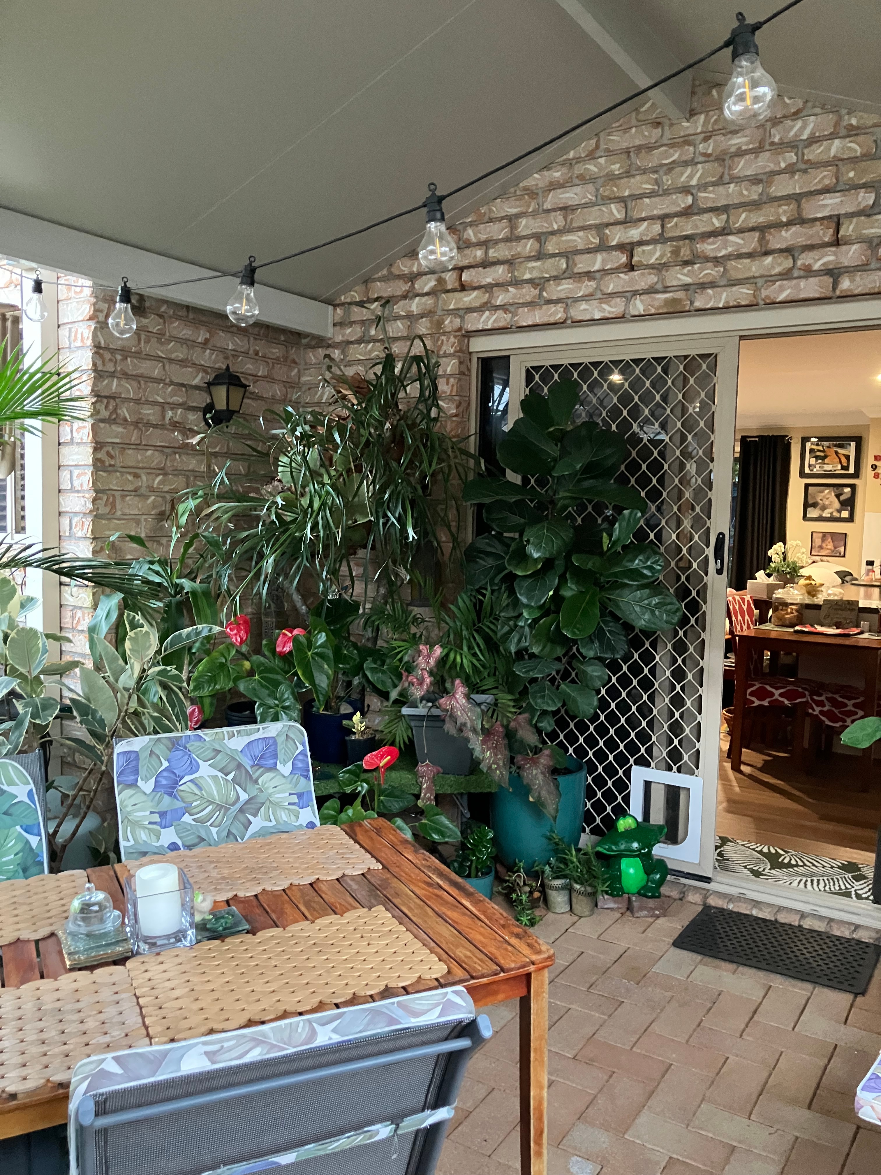 Photo of room in 4173 9