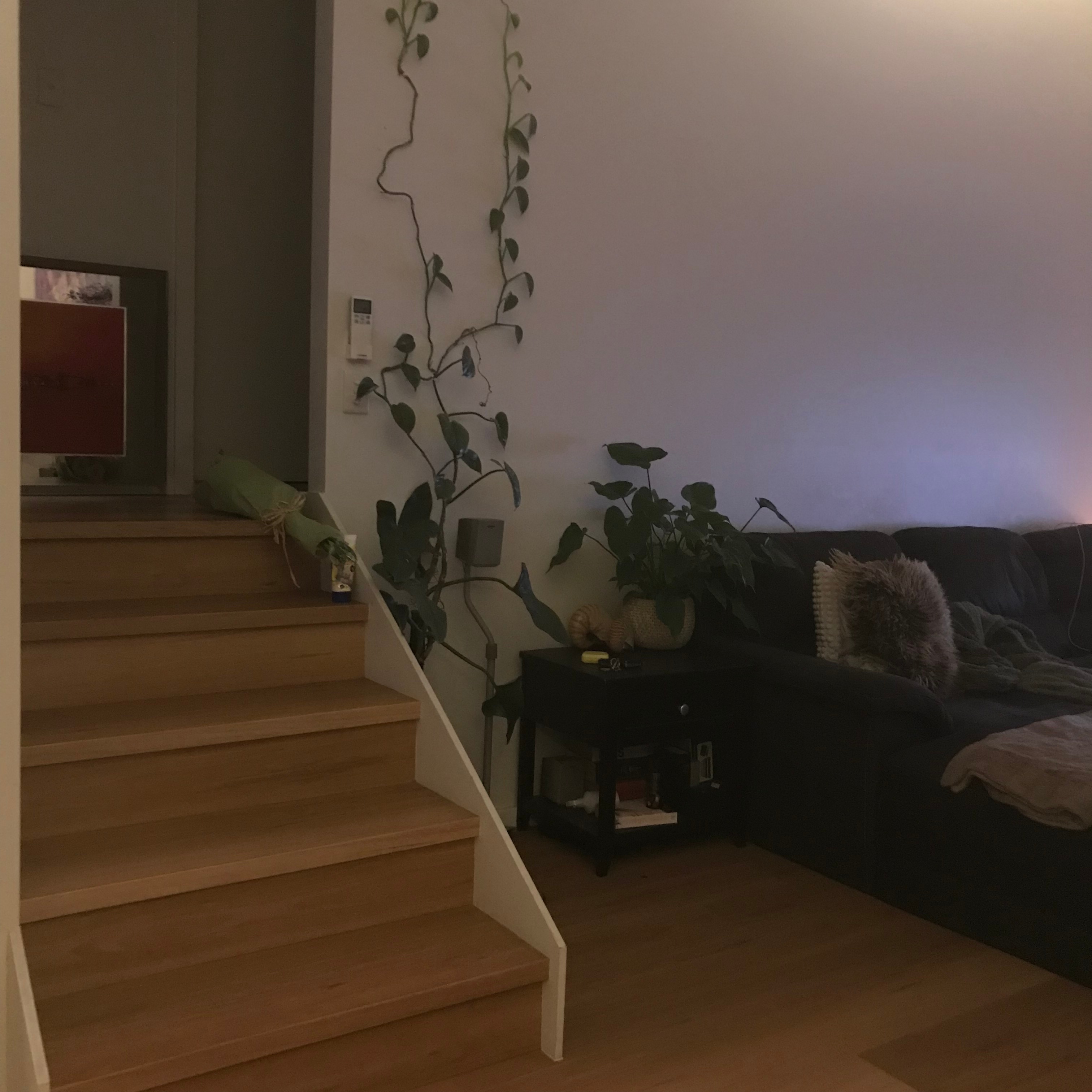 Photo of room in 2099 5
