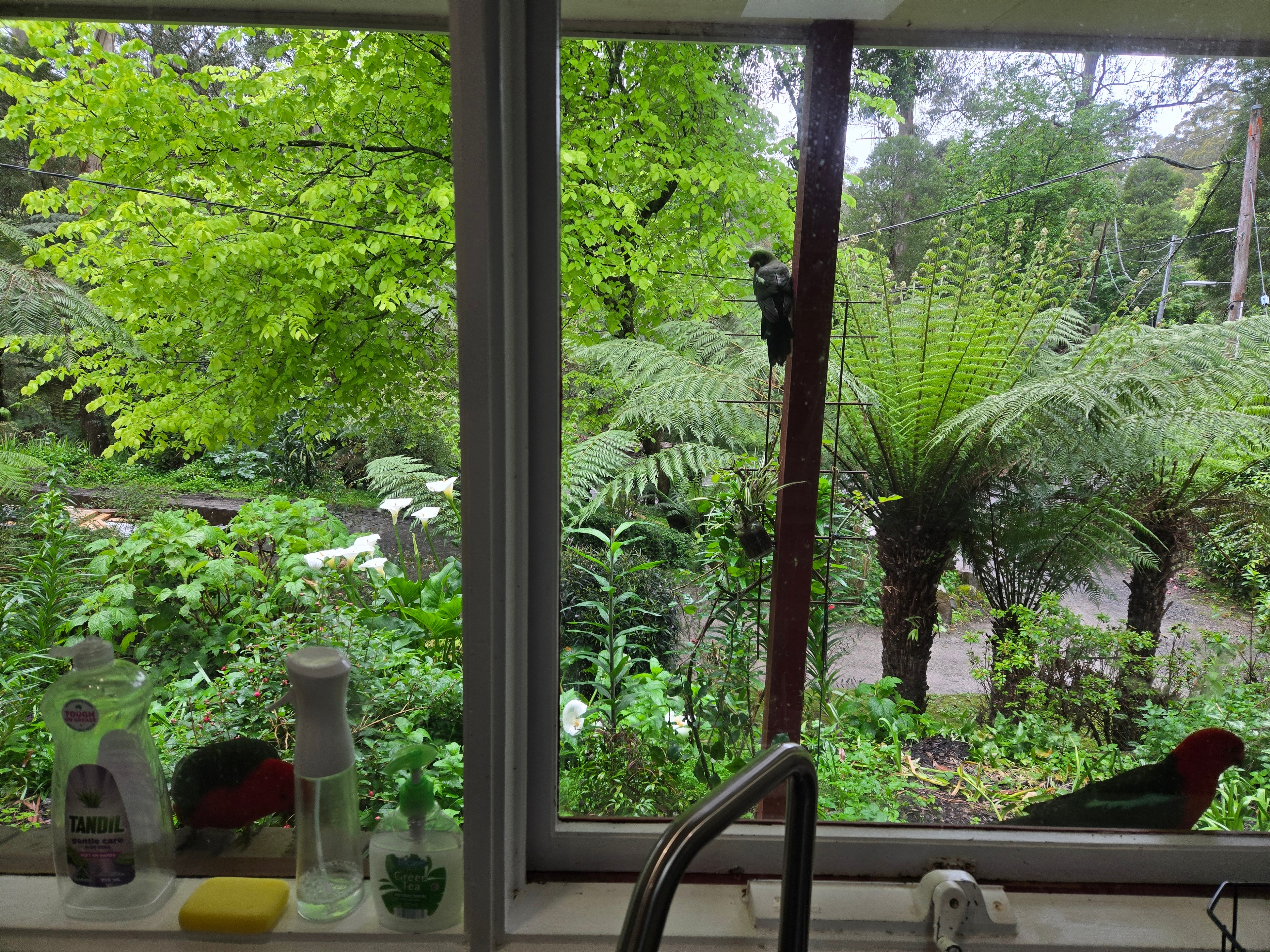 Photo of room in 3787 6