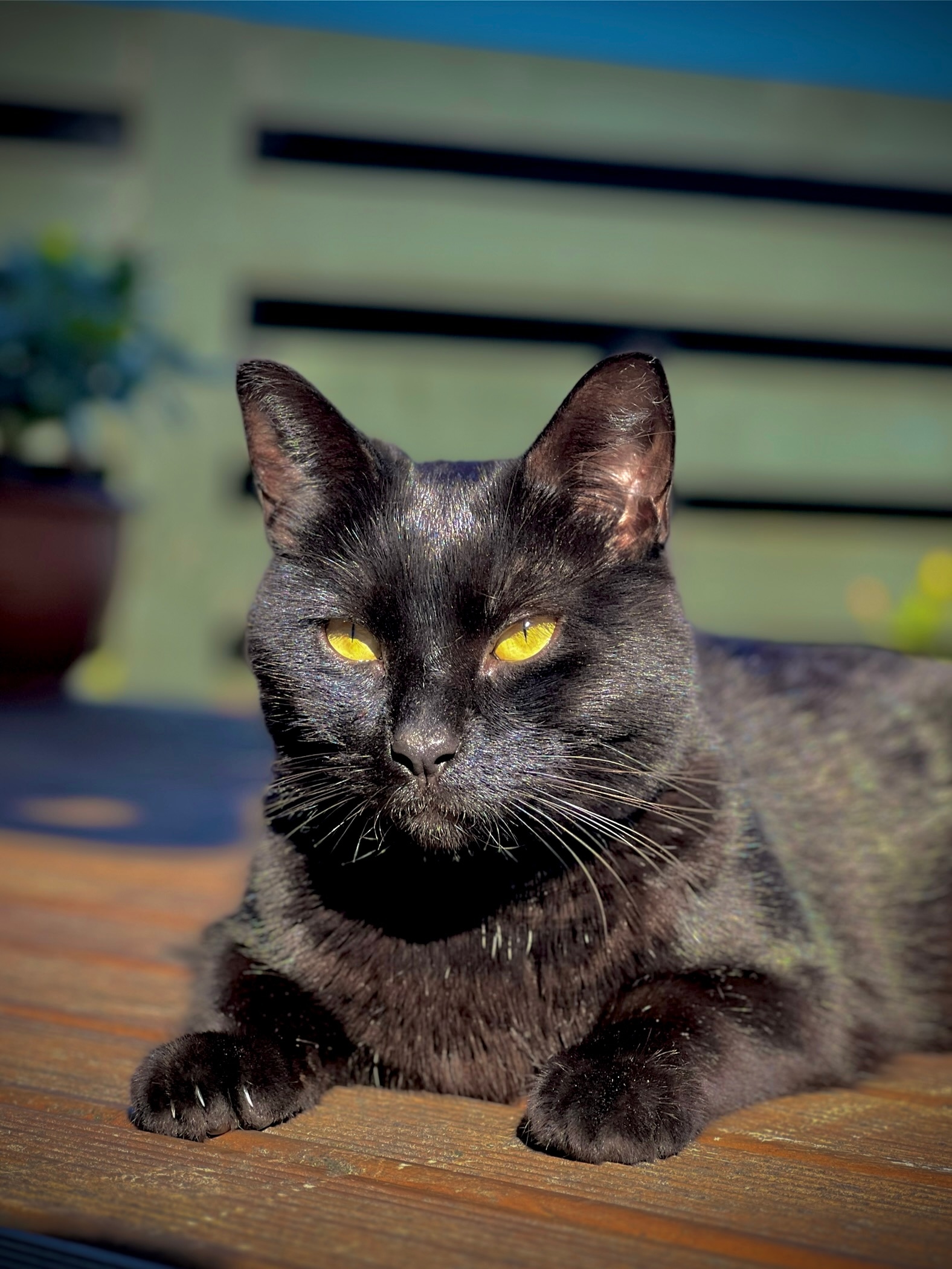 Photo of Matt & Liz 5