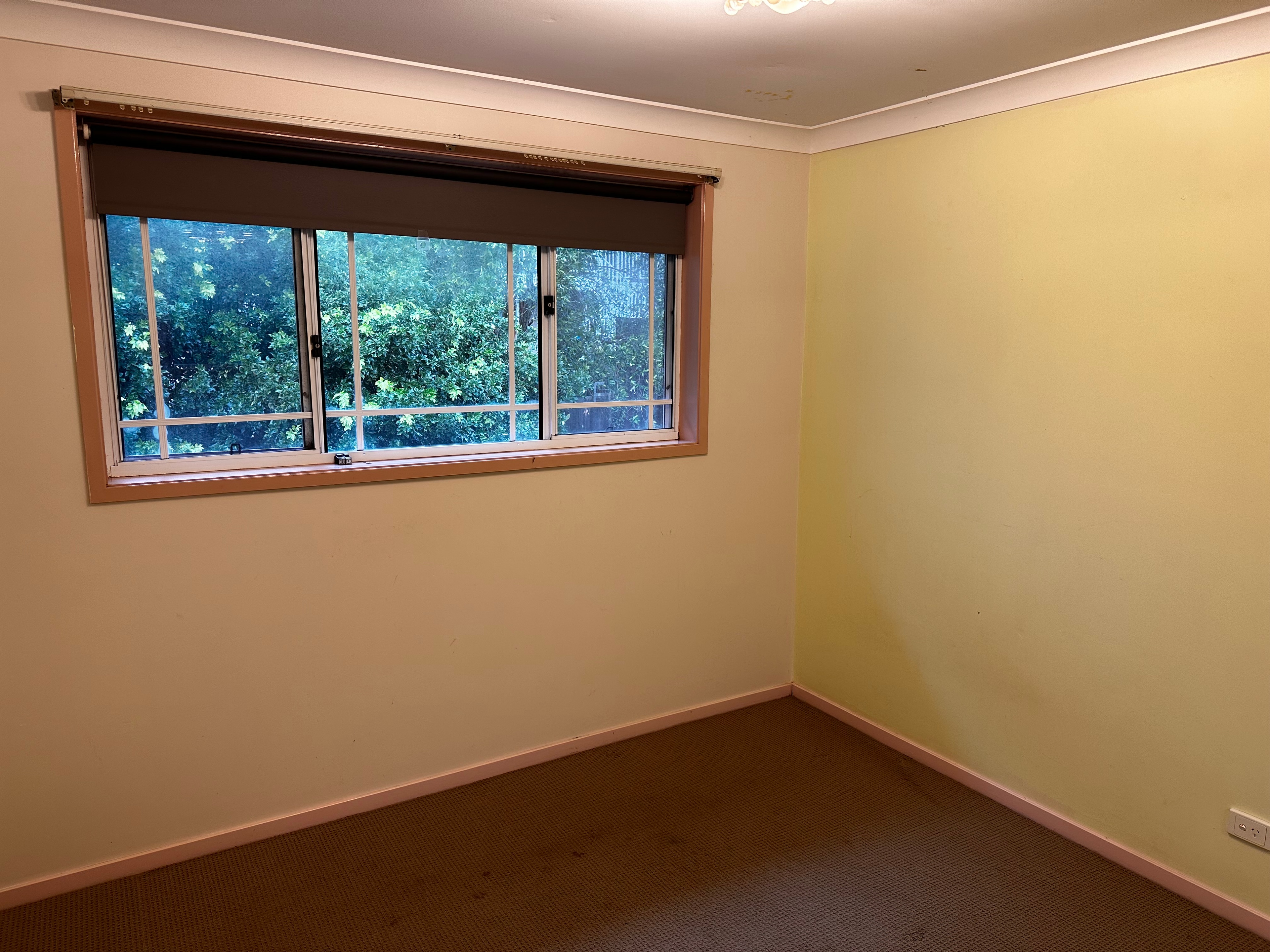 Photo of room in 2093 2