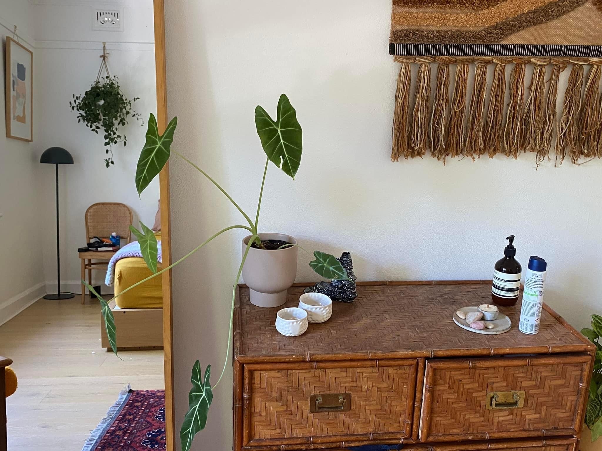 Photo of room in 2049 4