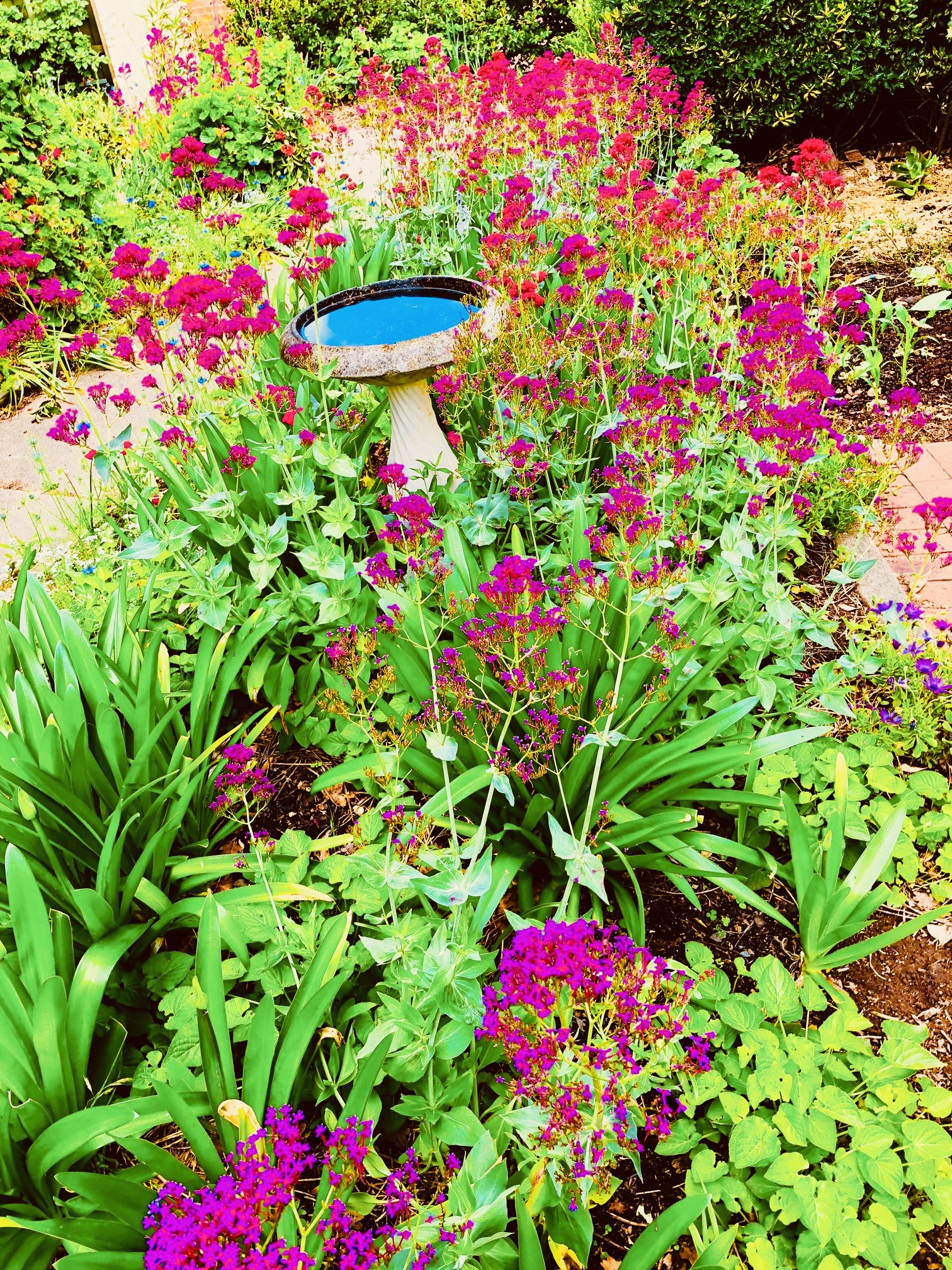 Photo of room in 2602 4