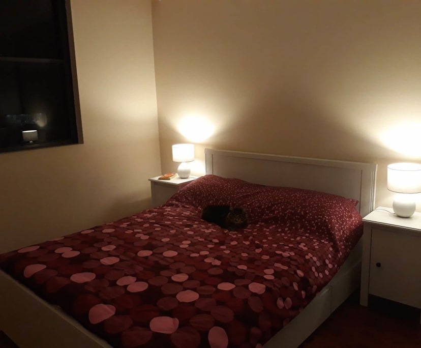 Photo of room in 2046 1