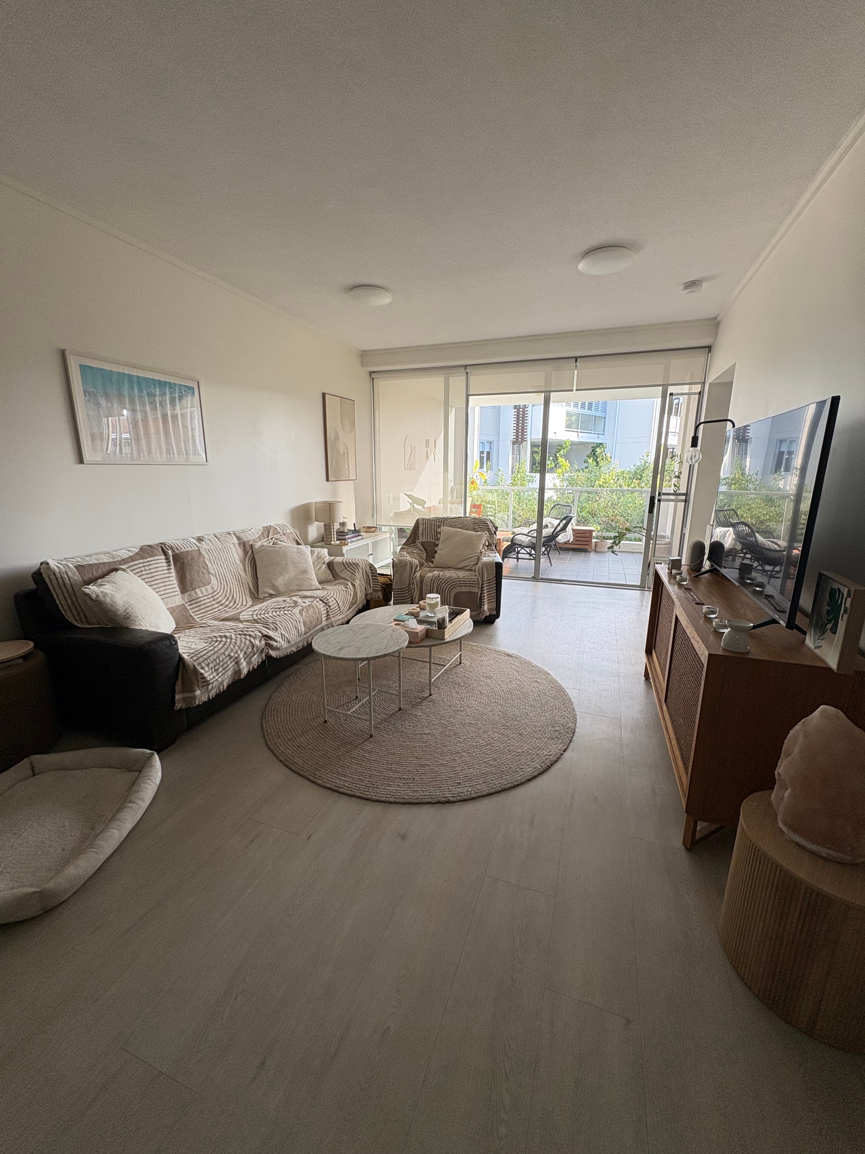 Photo of room in 4005 0