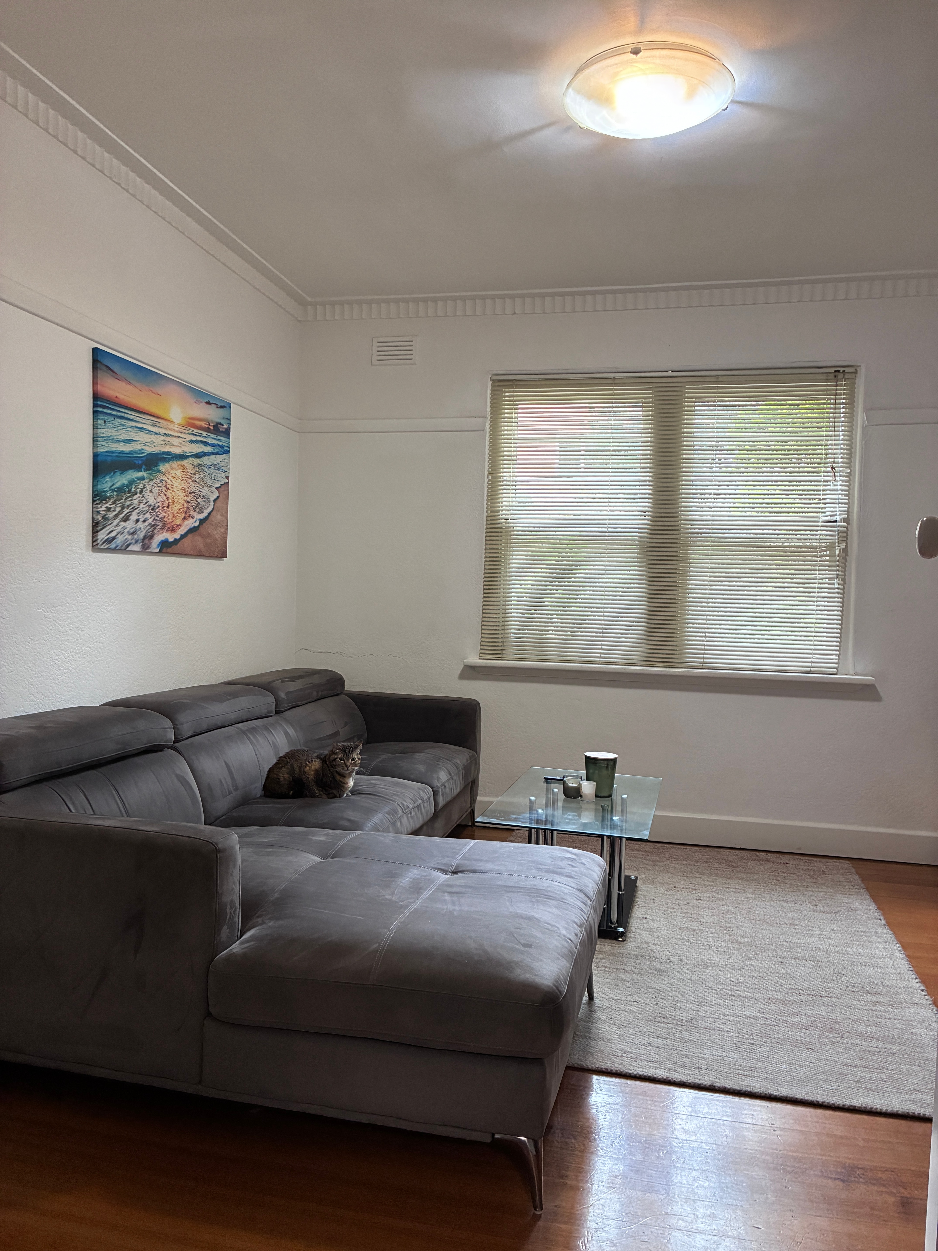 Photo of room in 3182 5