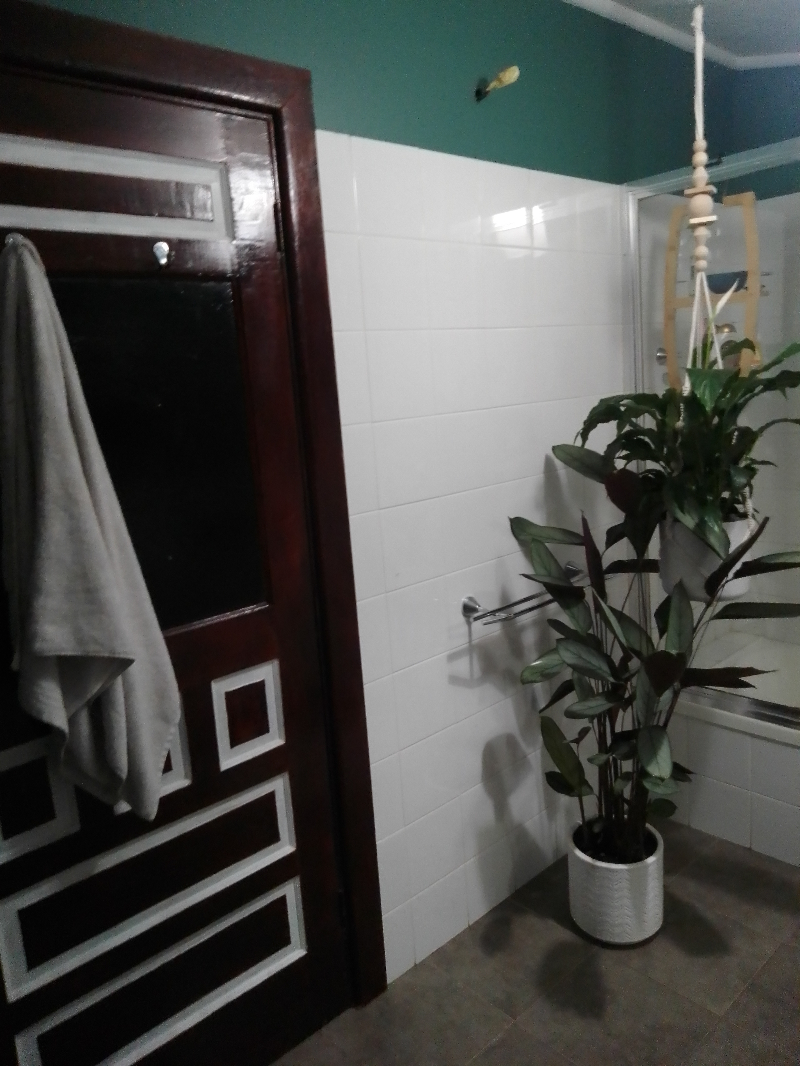 Photo of room in 2350 7