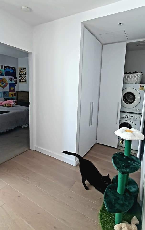 Photo of room in 3008 5