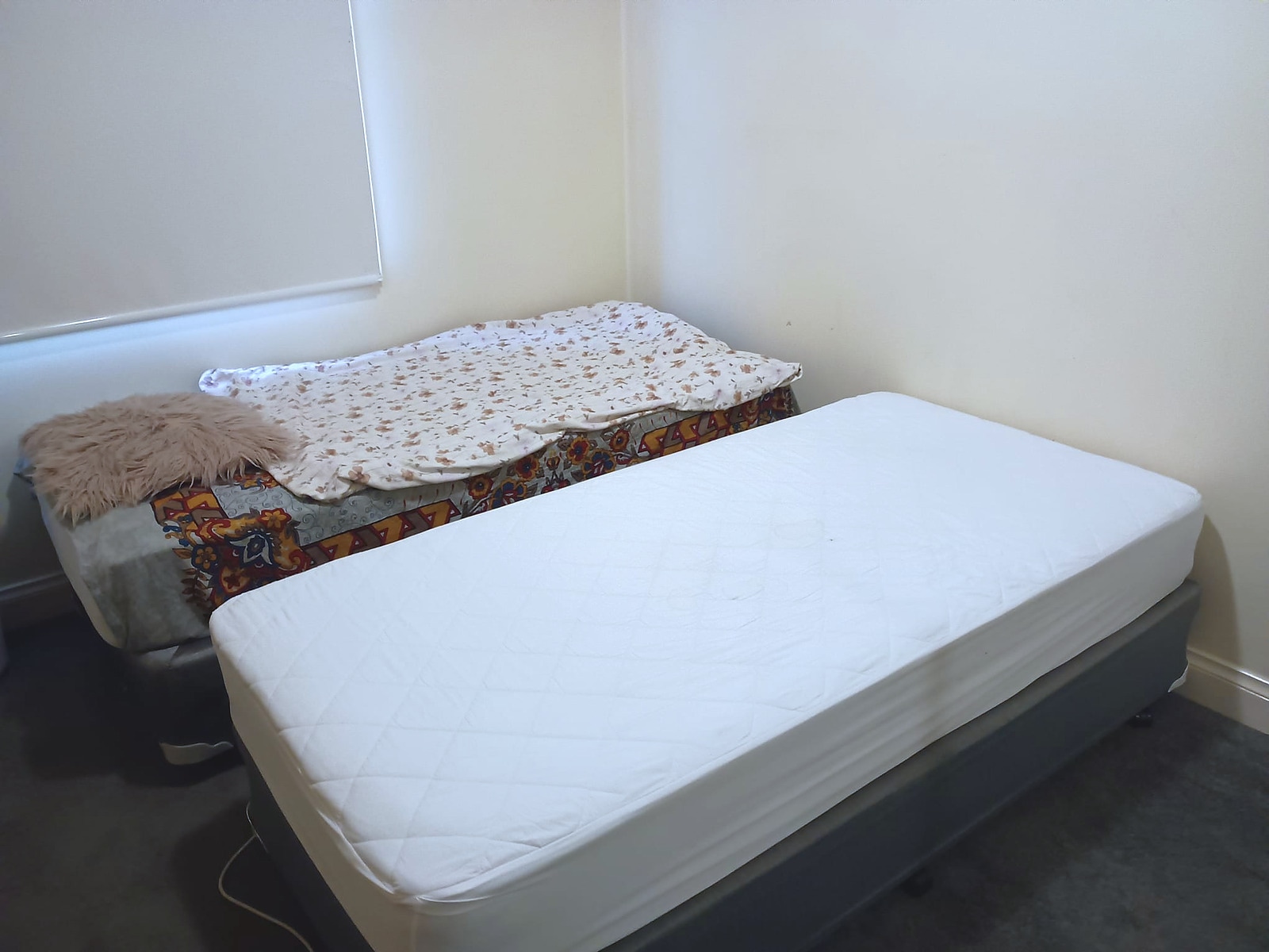 Photo of room in 3000 1