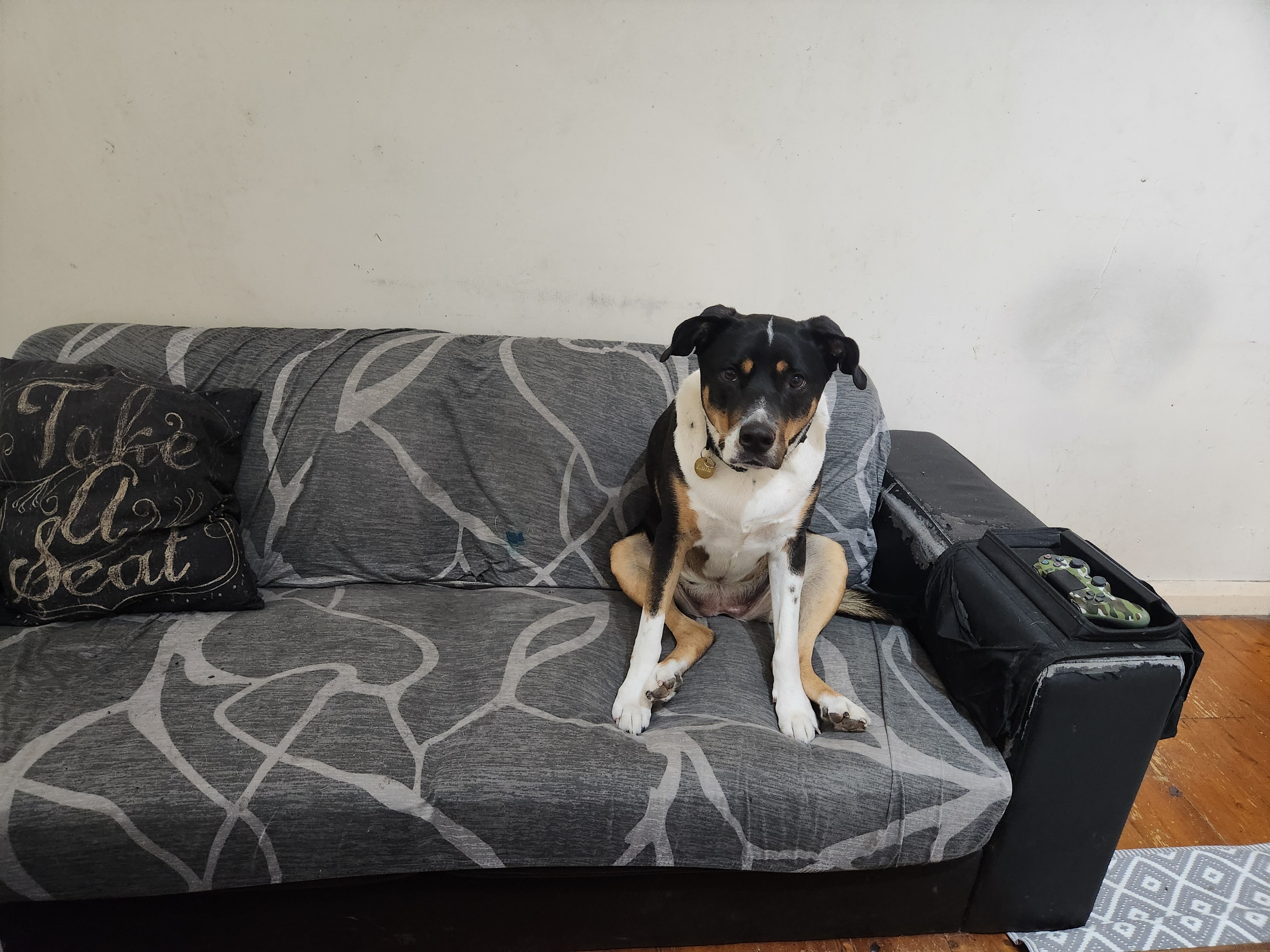 Photo of room in 2145 8