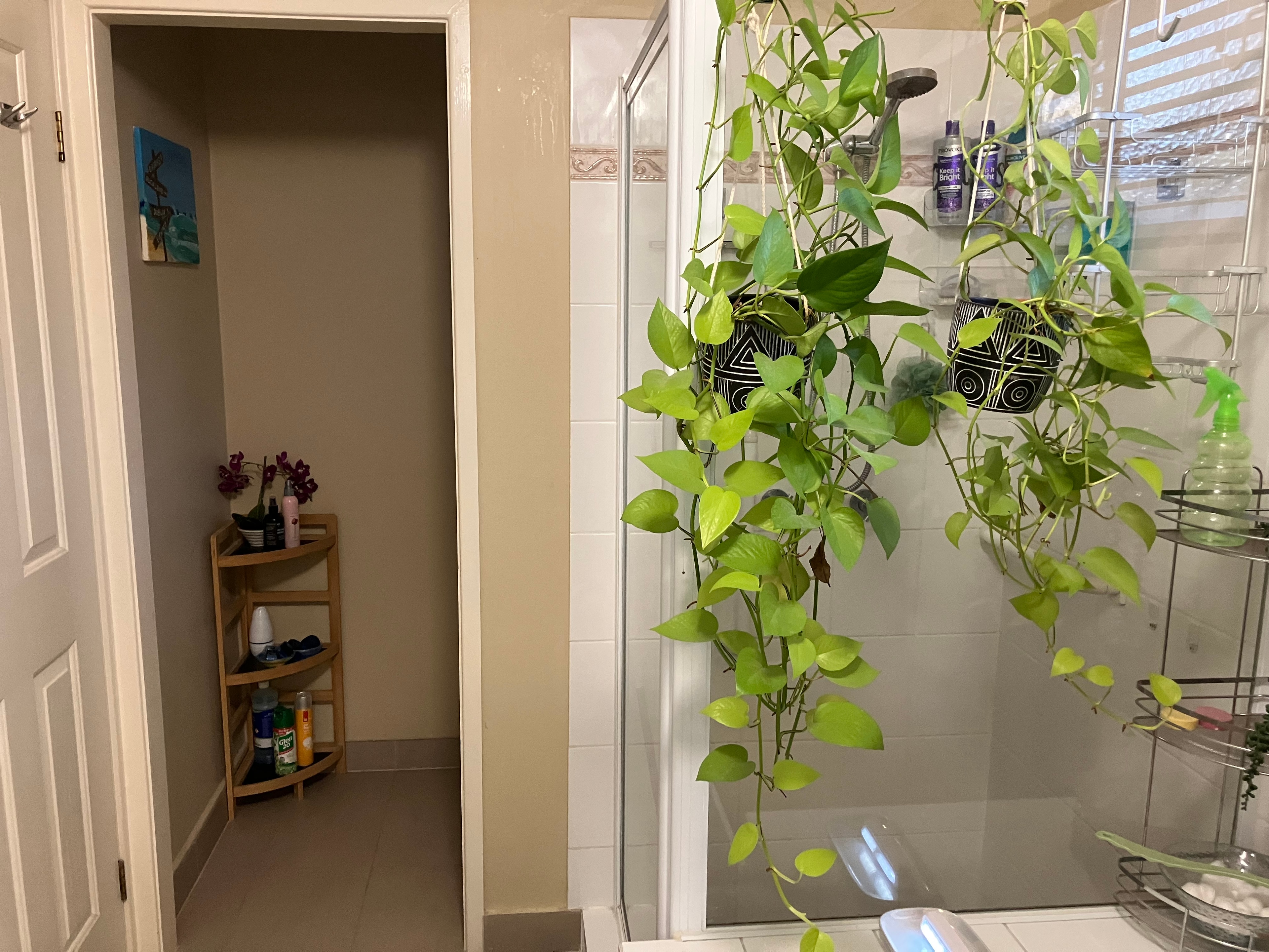 Photo of room in 4173 11