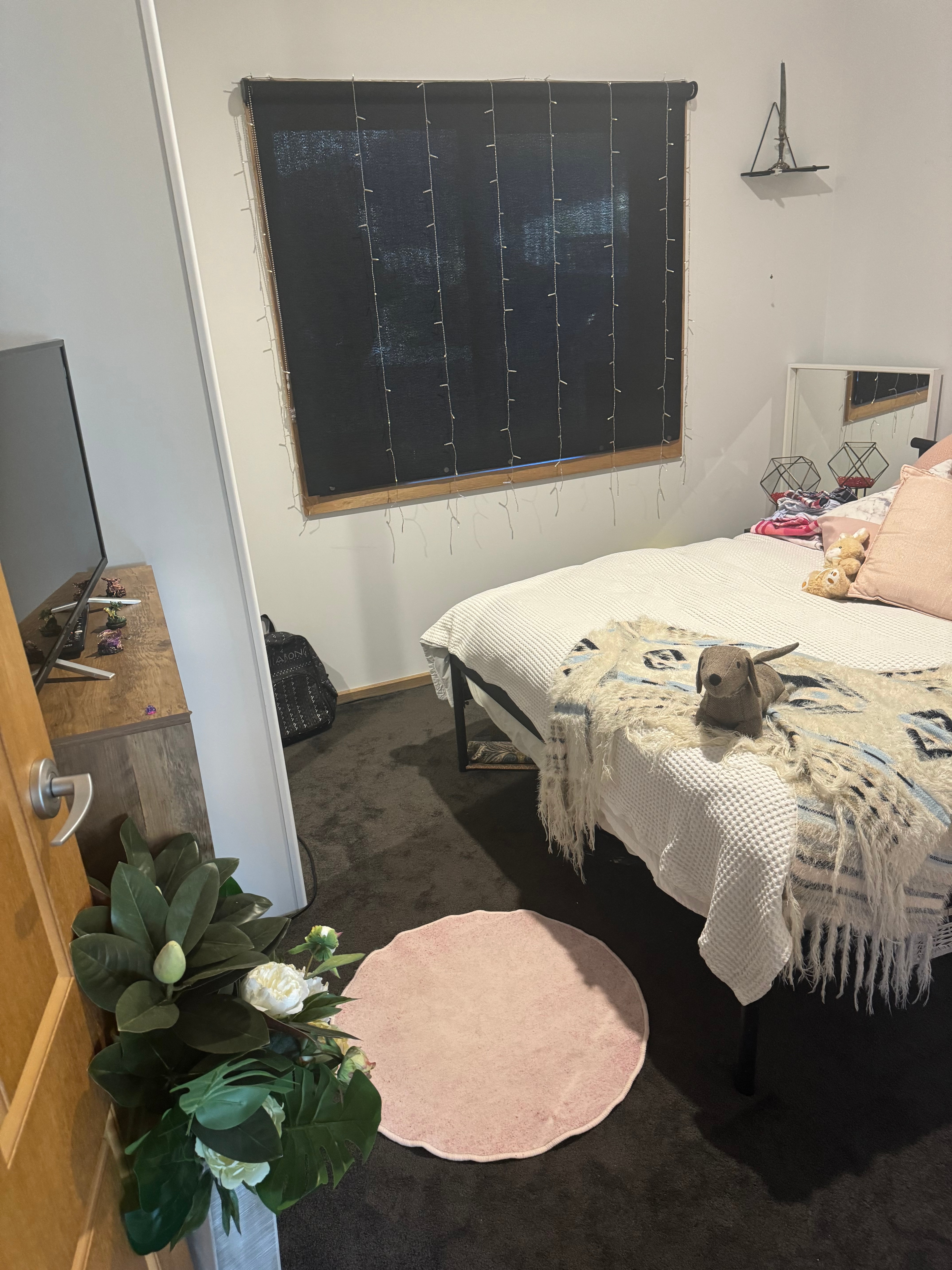 Photo of room in 5159 3