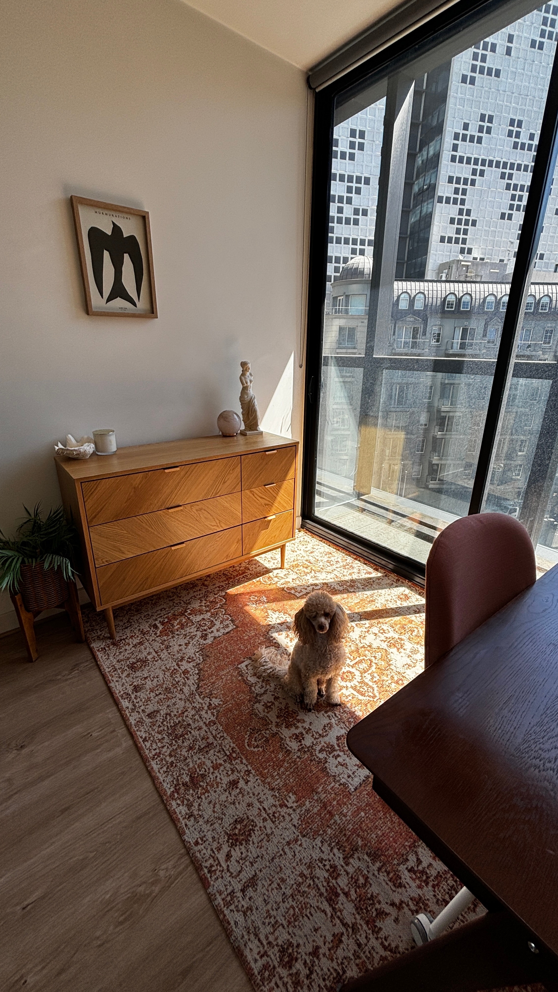 Photo of room in 3141 17