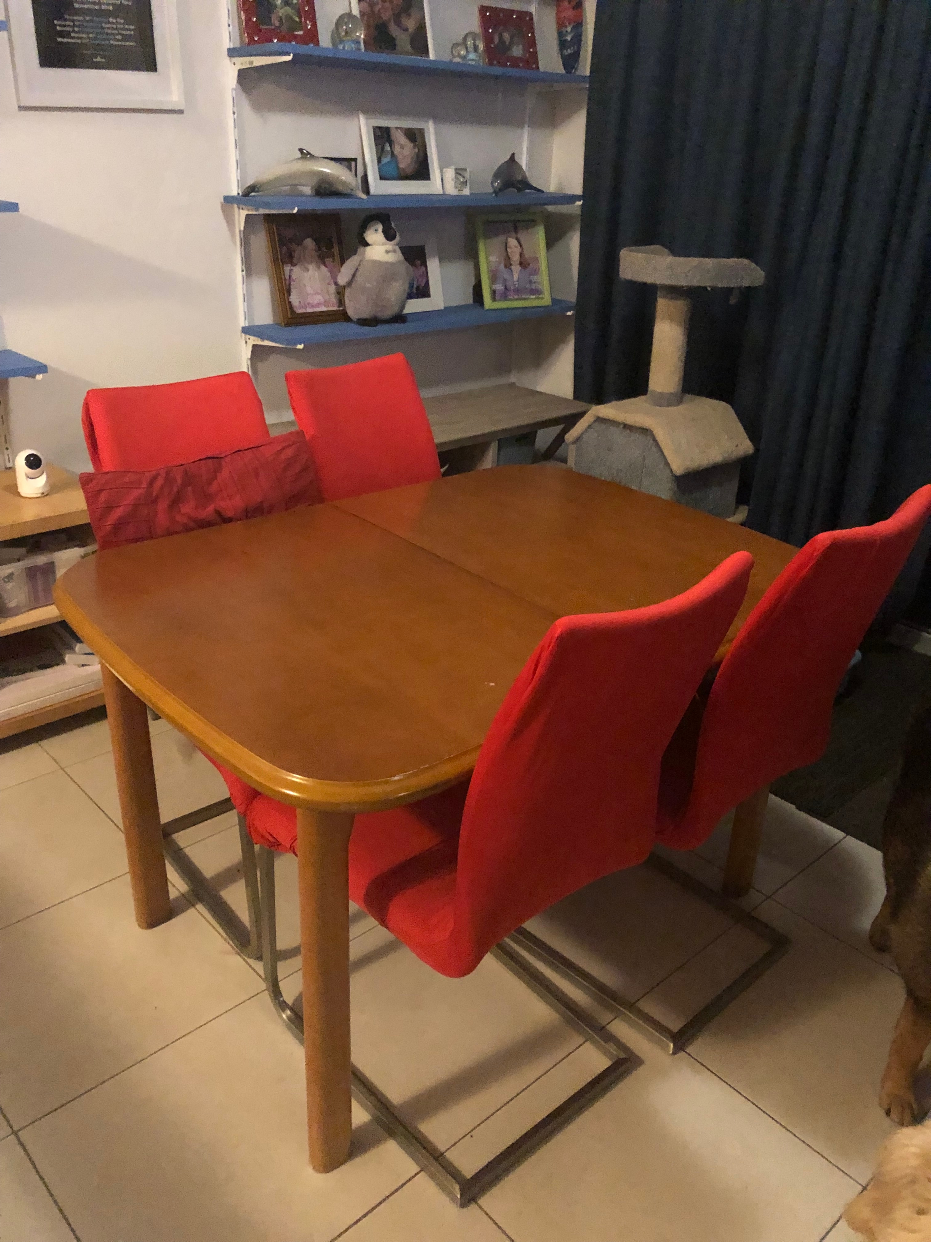 Photo of room in 6031 10