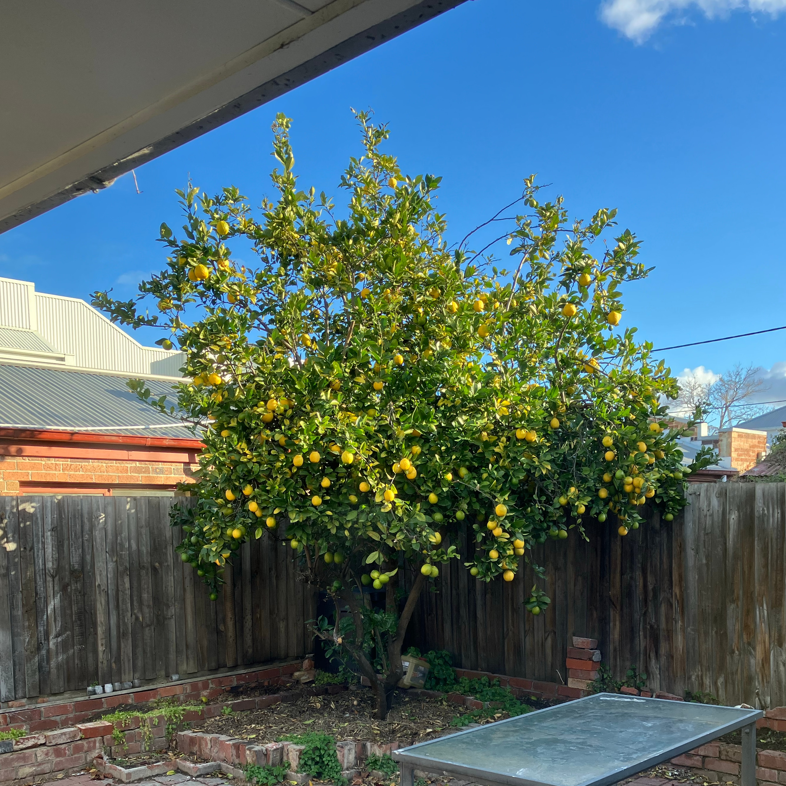 Photo of room in 3011 8