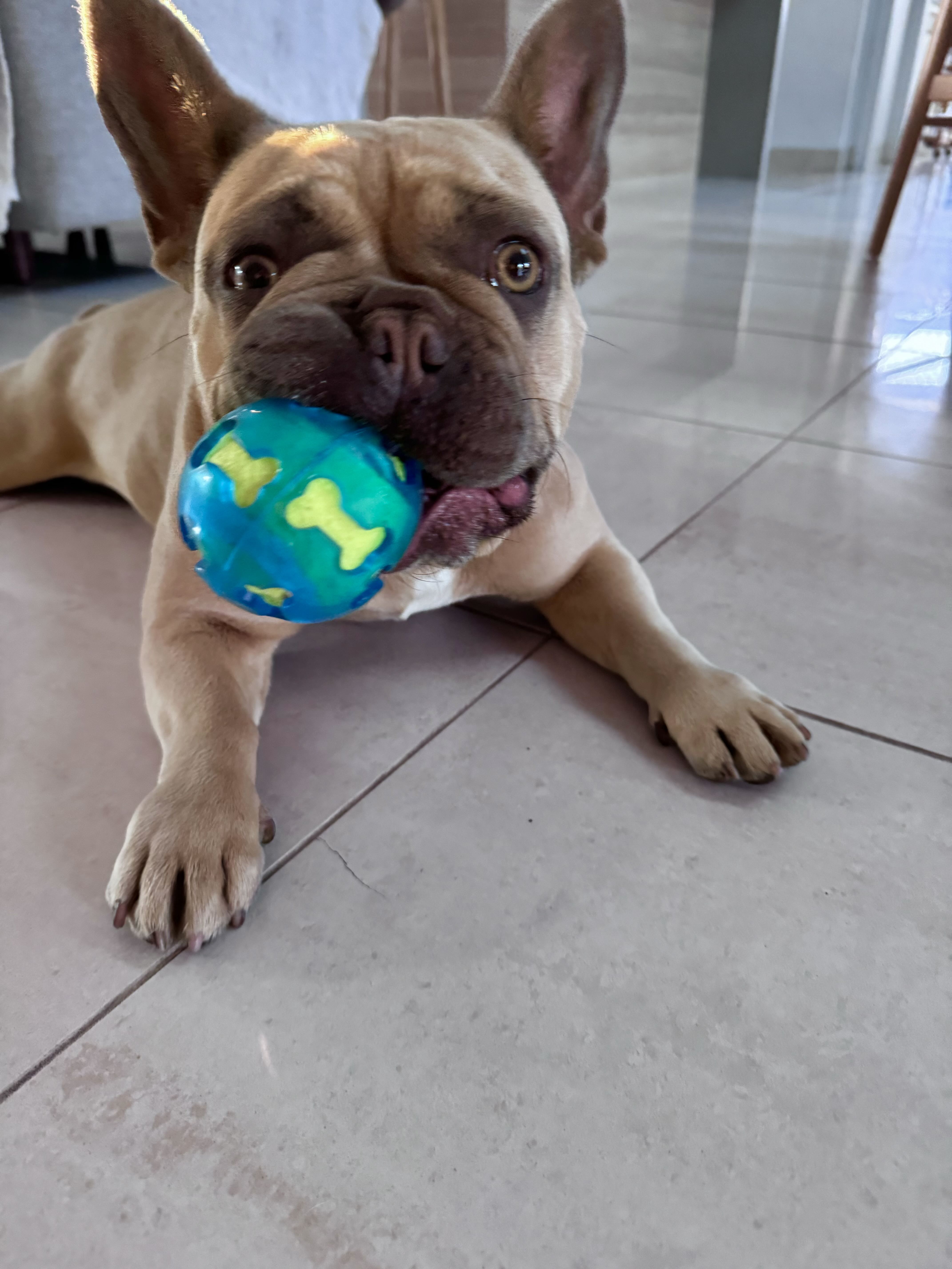 Photo of room in 4218 7