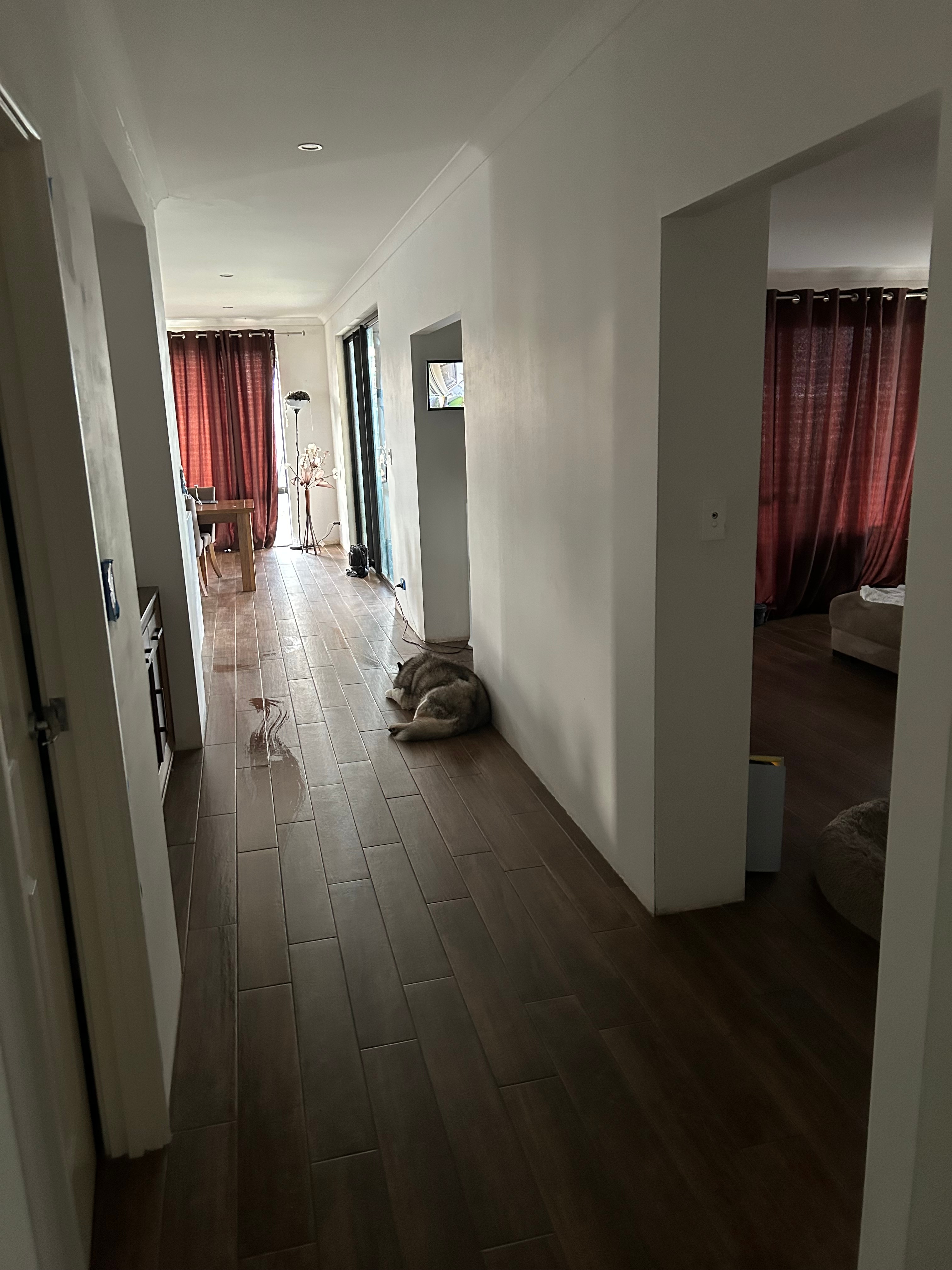 Photo of room in 6170 5