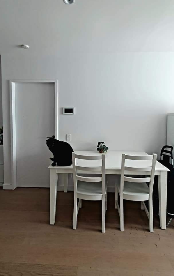 Photo of room in 3008 4