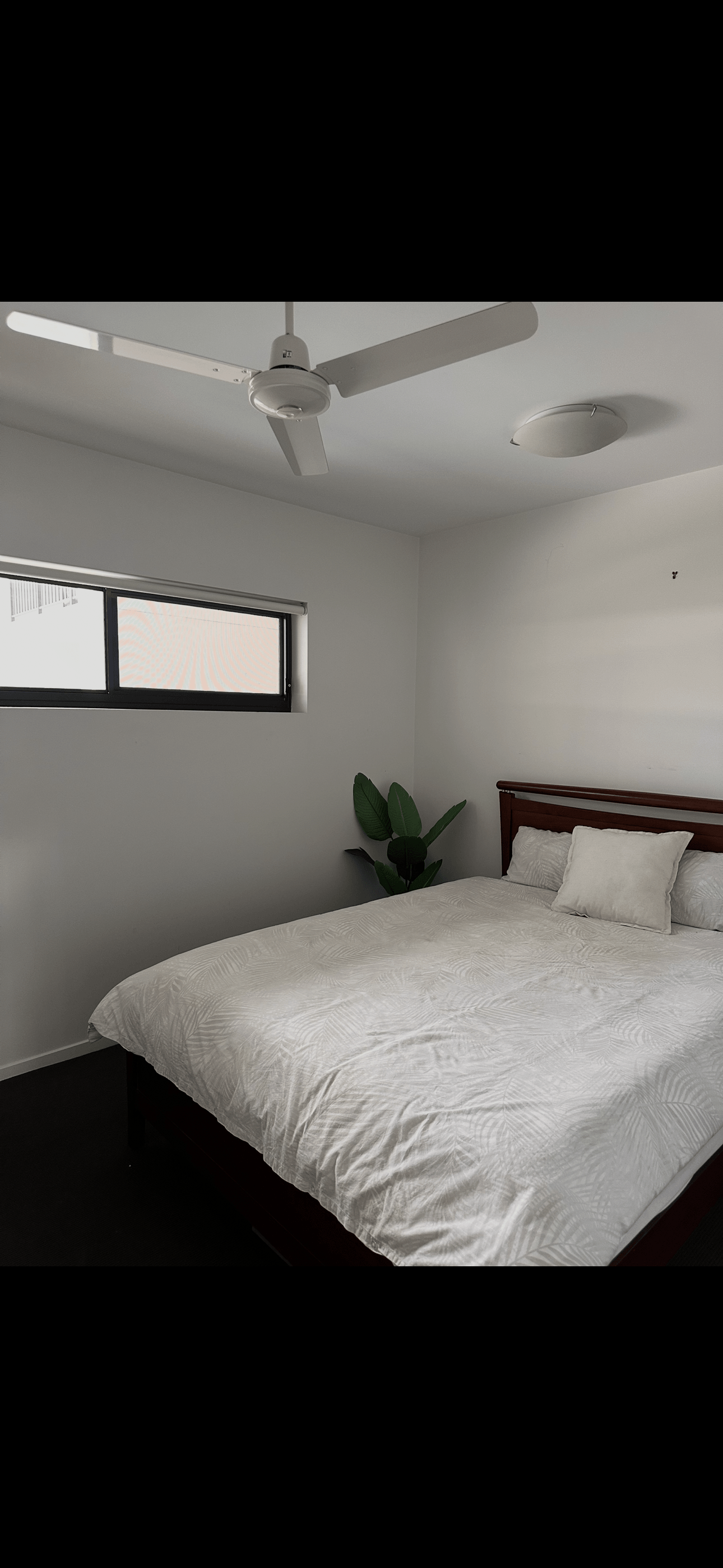 Photo of room in 4102 0