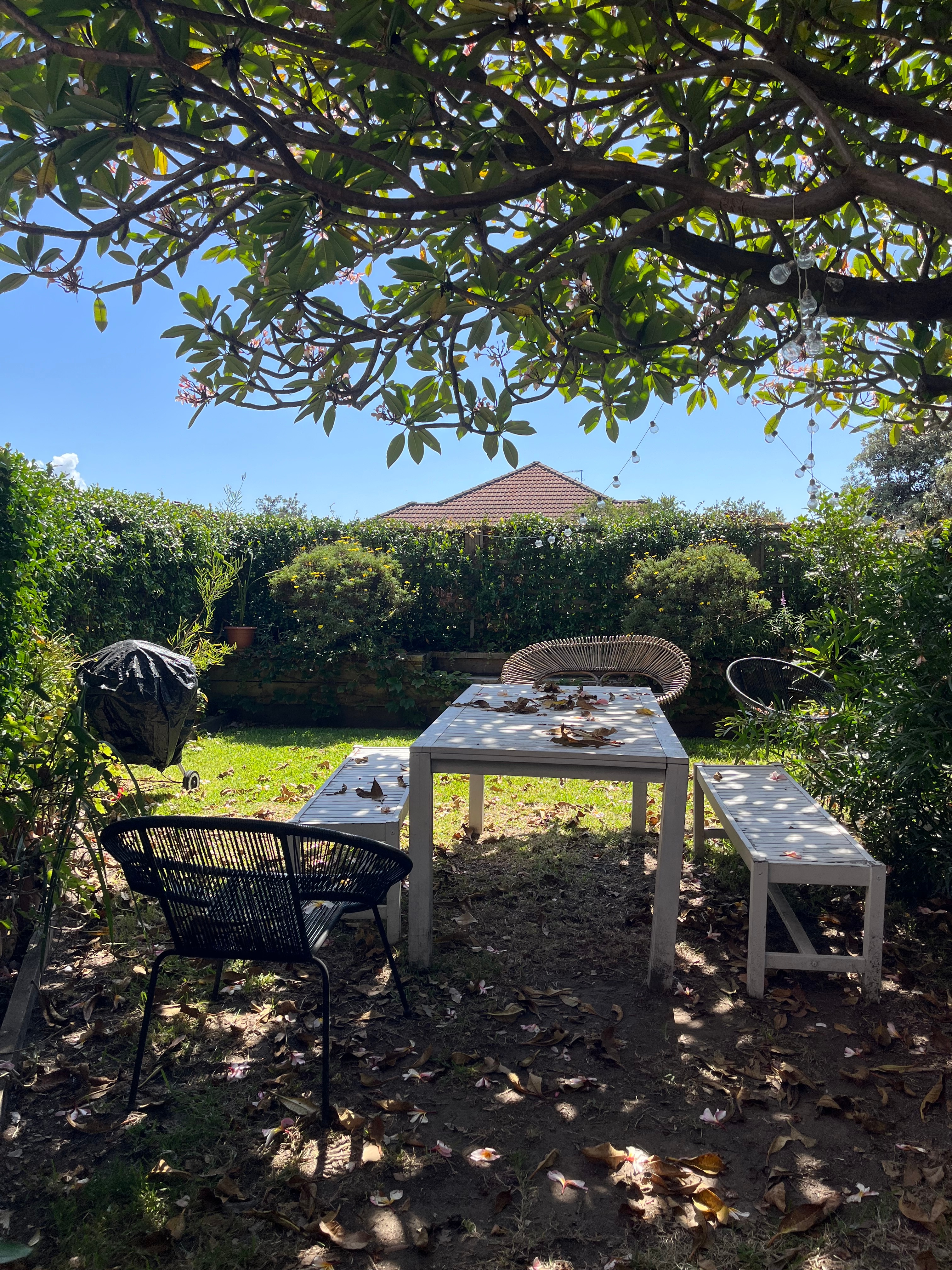 Photo of room in 2026 5