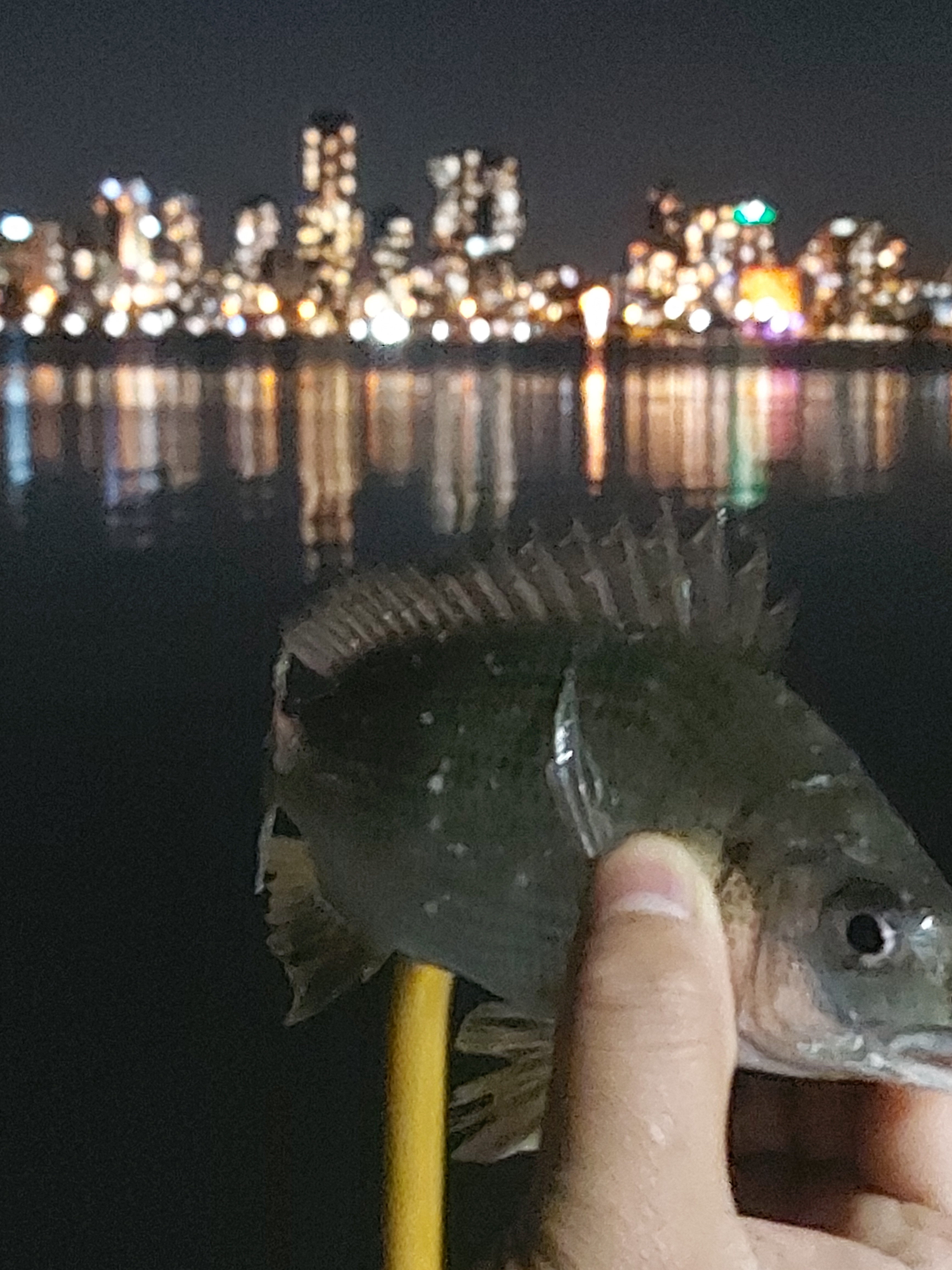 Photo of room in 6151 4